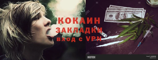 ГАЛЛЮЦИНОГЕННЫЕ ГРИБЫ Арсеньев