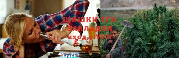 каннабис Аркадак