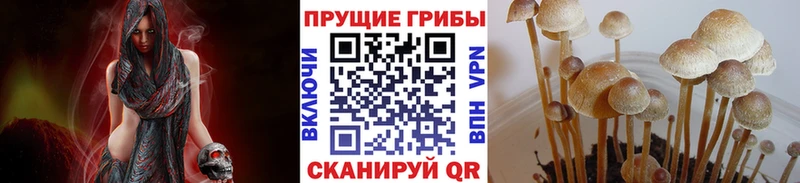 Галлюциногенные грибы прущие грибы  купить закладку  Изобильный 
